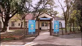 Conocé el Museo del Juguete de San Isidro