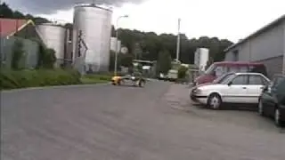 tigercatvideo