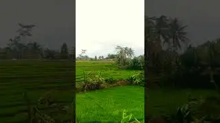 Nyawiji kaleh alam(budaya cinta alam,inspirasi kehidupan)