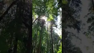 Roam #1 Spencer&rsquo;s Butte Teaser