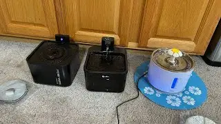 Wonder Creature Vs DownyPaws Vs Papifeed Cat Water Fountains Comparison