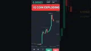 Everipedia IQ Network crypto exploding #shorts #everipedia #iqnetwork iqcoin #iqcrypto #iq