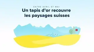 L'huile de Colza - Les conseils sant&eacute; propos&eacute;s par les eHnv