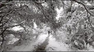 Trail du Vulcain 2024 : Marathon Volcanique sous la neige