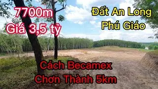 Đất An Long Ph&uacute; Gi&aacute;o, c&aacute;ch Becamex B&igrave;nh Phước 5km, 7700m gi&aacute; 3,5 tỷ. Đất B&igrave;nh Dương gi&aacute; rẻ