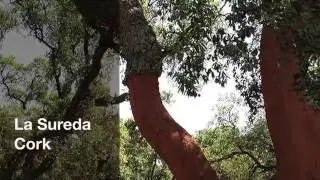 Presentaci&oacute;n La Sureda-Cork