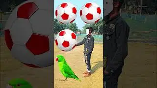 Rounding coconuts to Duck, Peacock, Pigeon & Parrot - Birds names magic video