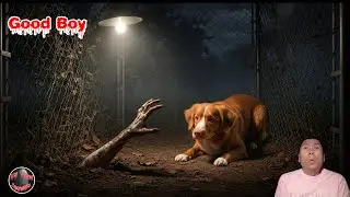 Movie Review: Good Boy (2025)