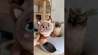 a cat you can cuddle 24/7?! 😻 siamese cat plushie #cats #cute #catlover