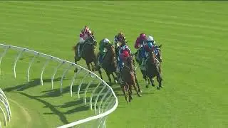 2025 Verry Elleegant Stakes