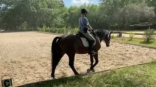 Landen Johnson Habicht Second level test 1