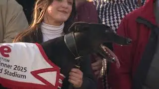 2025 Time Irish Cesarewitch Final