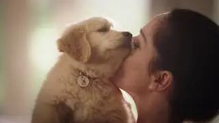 ORDER x Moxie x Astor Banks - Veterinary Pet Insurance - TV Spot