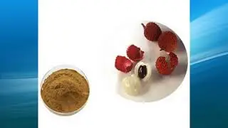 lychee seed extract supplier,wholesale,bulk,factory