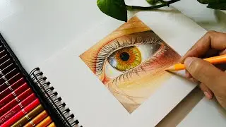 How to Draw a Realistic Eye with Colour Pencils | Finished Artwork Real-Time | Part 2 #arttutorial 