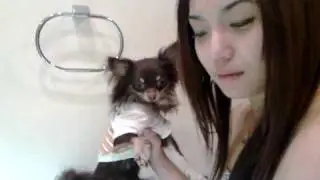 NINA KODAKA - mocha washing his hands