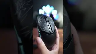 Razer | Zenless Zone Zero Collection Unboxing