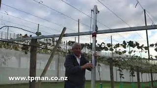 Kiwifruit Orchard - Teepee Pole On Your Own