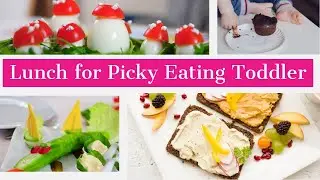 Lunch Ideas for Picky Eating Toddlers | Kids just Starting to Eat New Foods and Textures
