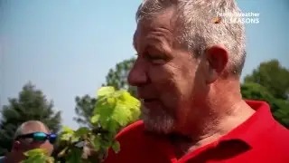 In Seasons - Cathedral Peak Wine Estate