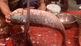 I never seen ll amazing big Rouifish cutting live skills by expert fish cutter 
