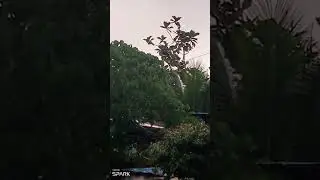 #naturegreen