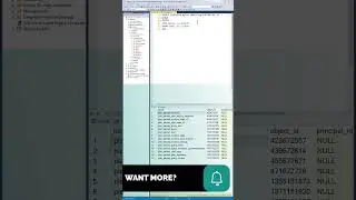 Create Stored Procedures in SQL Server - What You Need to Know 