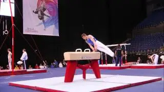 CHARLIE HOWARD - POMMEL- 2013 British Champs - AA