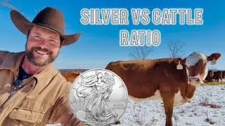 The Silver to Cattle Ratio Is Telling Us Something BIG