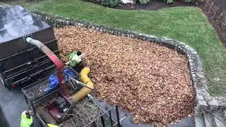 Fall 2018 Leaf Busting