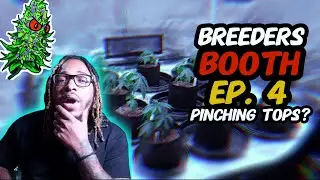 Breeders Booth S5 Ep. 4 | Pinching Tops? 🤷🏾&zwj;♂️🚫 | Veg Week 5 & 6