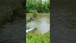 #река#природа#river#nature#r&iacute;o#naturaleza#नदी#प्रकृति#নদী#প্রকৃতি#rio#natureza#rivi&egrave;re#河流#自然#alam＃花朵
