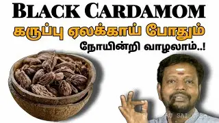 கருப்பு ஏலக்காயின் நன்மைகள் | நோயின்றி வாழ | Black Cardamom @Sadhgurusaicreations