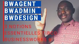 TIBCO BWAgent, BWAdmin, BWDesign tout savoir sur ces utilitaires TIBCO BusinessWorks 6