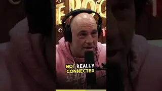 You are not a Looser | School System | Joe Rogan