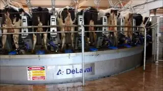 DeLaval Parallelkarussell PR2100 mit Zitzenspray-Roboter TSR