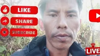 hello good morning everyone well come to my YouTube live