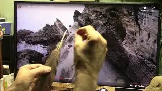 Undeniable Giant Creature Soft Tissue Body Preservation In Oregon Like This Membrane and More