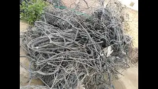 How are aluminum copper wire granulator machine BS-N125 from BSGH  recycled your scrap cable wires?