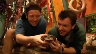 Zoboomafoo Cap. 18: 