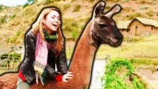 LLAMA RIDES //  Peru