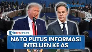 NATO Putus Komunikasi dengan Intelijen AS, Khawatir Informasi Dipakai Trump Rebut Paksa Greenland