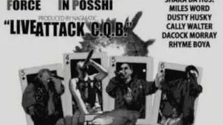 DINARY DELTA FORCE / LIVE ATTACK C.Q.B.[ZASSYCHEE REMIX]