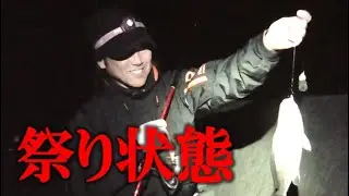 真冬の港で尺クラスの魚が爆釣する簡単仕掛けで夜釣りにいった結果がハンパなかった。マチャフィッシングガイドサービス