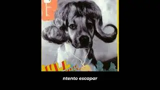 Mull Historical Society - Loss (subtitulos en español)