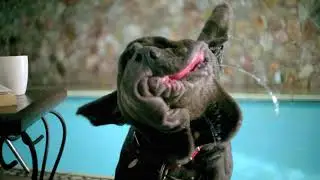 Friskies Slobber Dog