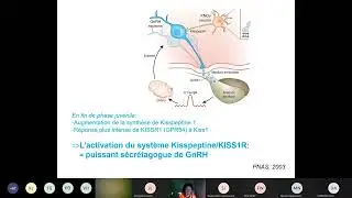 Mise au point de puberté précoce ou tardive