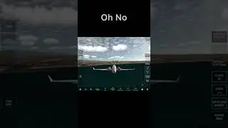 What Happens If I Turn ALL Failures On In RFS? (Real Flight Simulator)