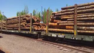 Portland & Western Long OE Express/ Daylight Harbor Turn Part 1: In Hillsboro!!!
