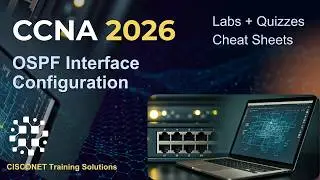 CCNA 200-301 | IP Routing | OSPF Interface Configuration